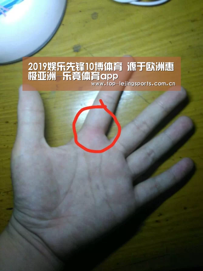 2019娱乐先锋10博体育 源于欧洲惠极亚洲-乐竟体育app(图3) 乐竟官方网站下载